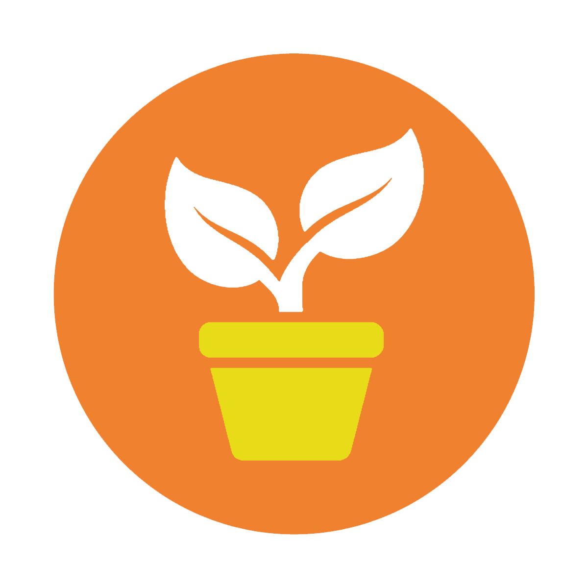 SocialJoey why social circle plant